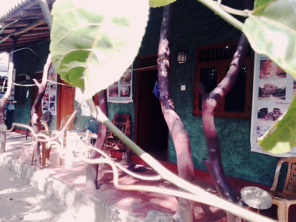 Bluesky Guest House Dambulla Exterior photo