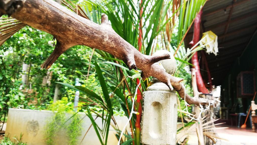 Bluesky Guest House Dambulla Exterior photo